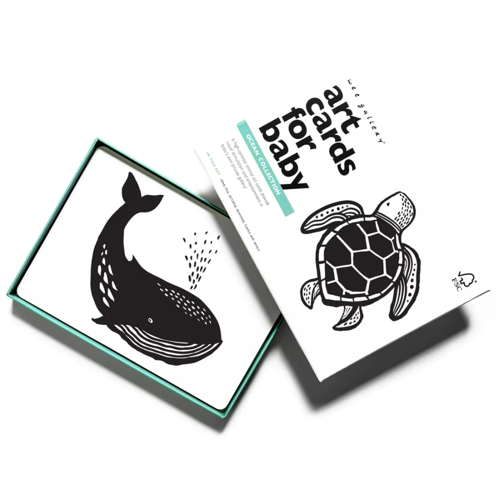 art-cards-for-baby-ocean-animals_1100x.jpg